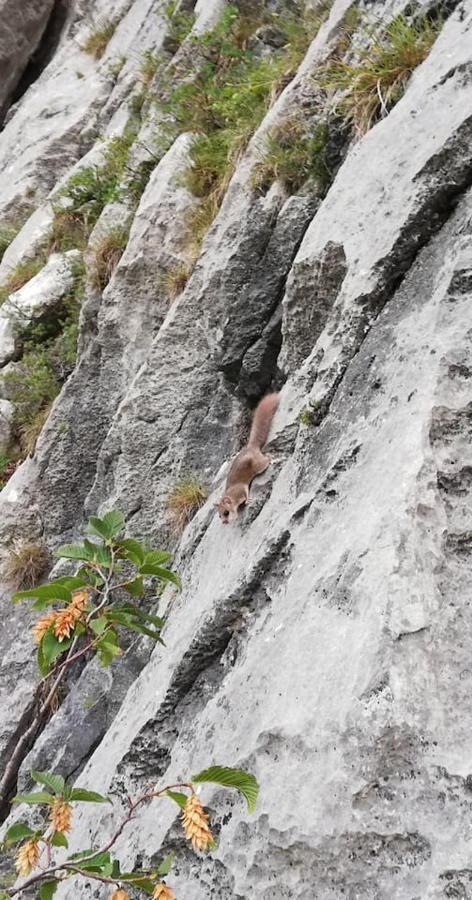 Appartamento Olea Arco Bagian luar foto